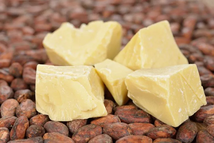Blocks of cocoa butter on cocoa beans